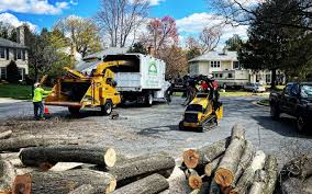 Lawn Grading and Leveling