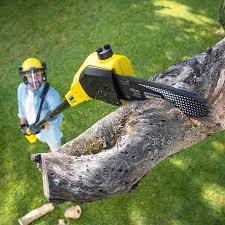 Best Grass Overseeding  in Huntington, UT