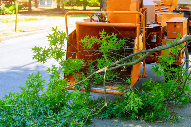 Best Lawn Watering Services  in Huntington, UT