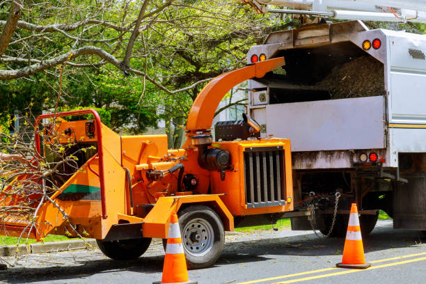 Seasonal Cleanup (Spring/Fall) in Huntington, UT