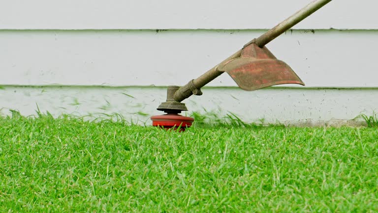 Best Lawn Pest Prevention  in Huntington, UT